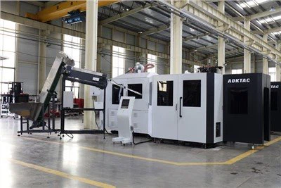 6 Kavite bèt kay mouche machin